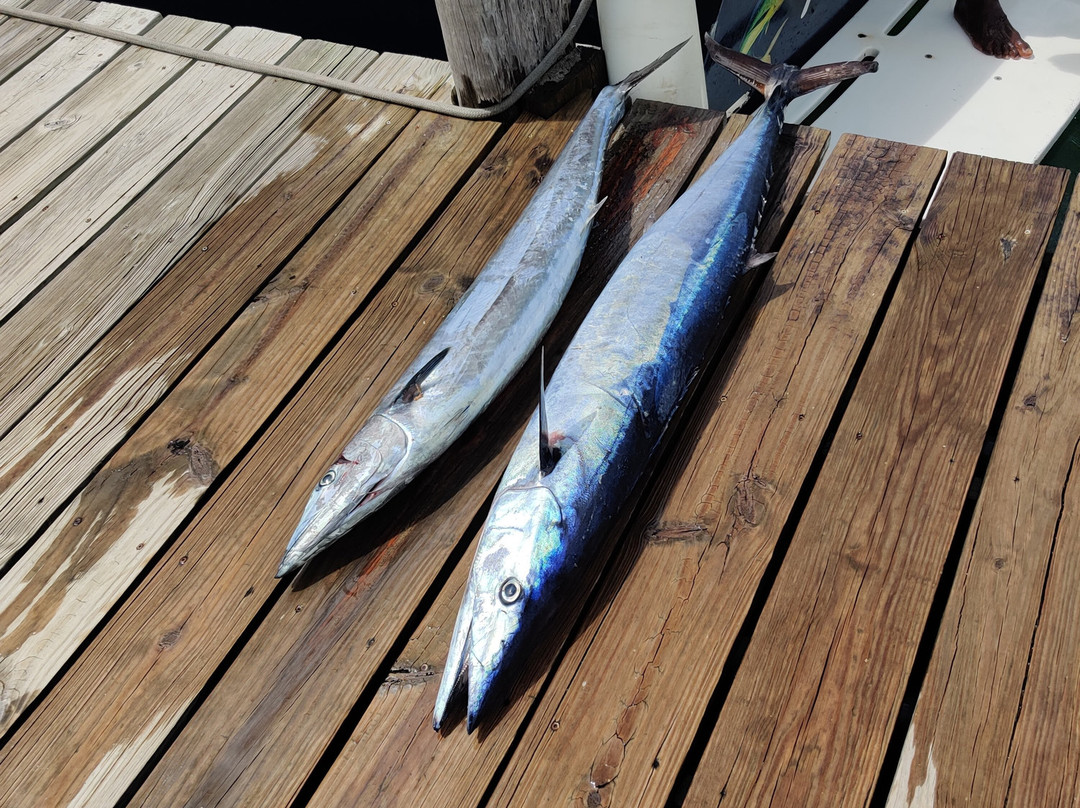 Mystic Amara III - Deep Sea & Bottom Fishing Charters-Jolly Harbour必去景点