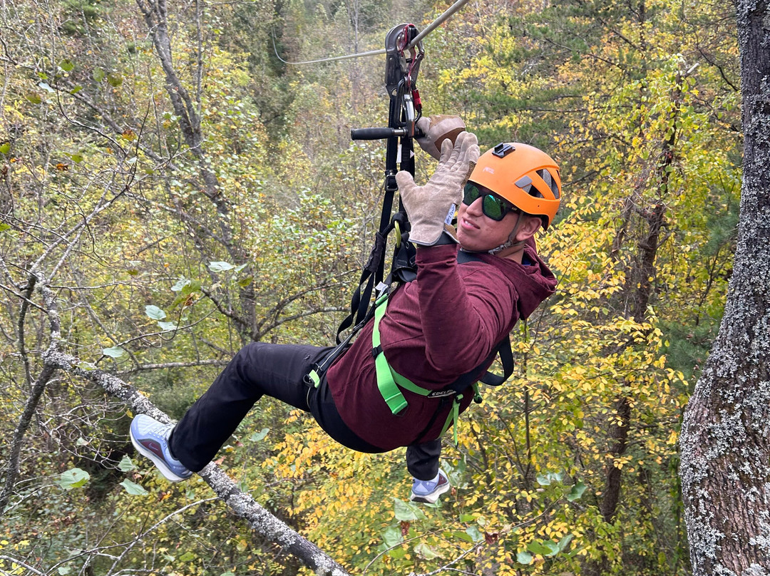 Navitat Canopy Adventures-Barnardsville必去景点