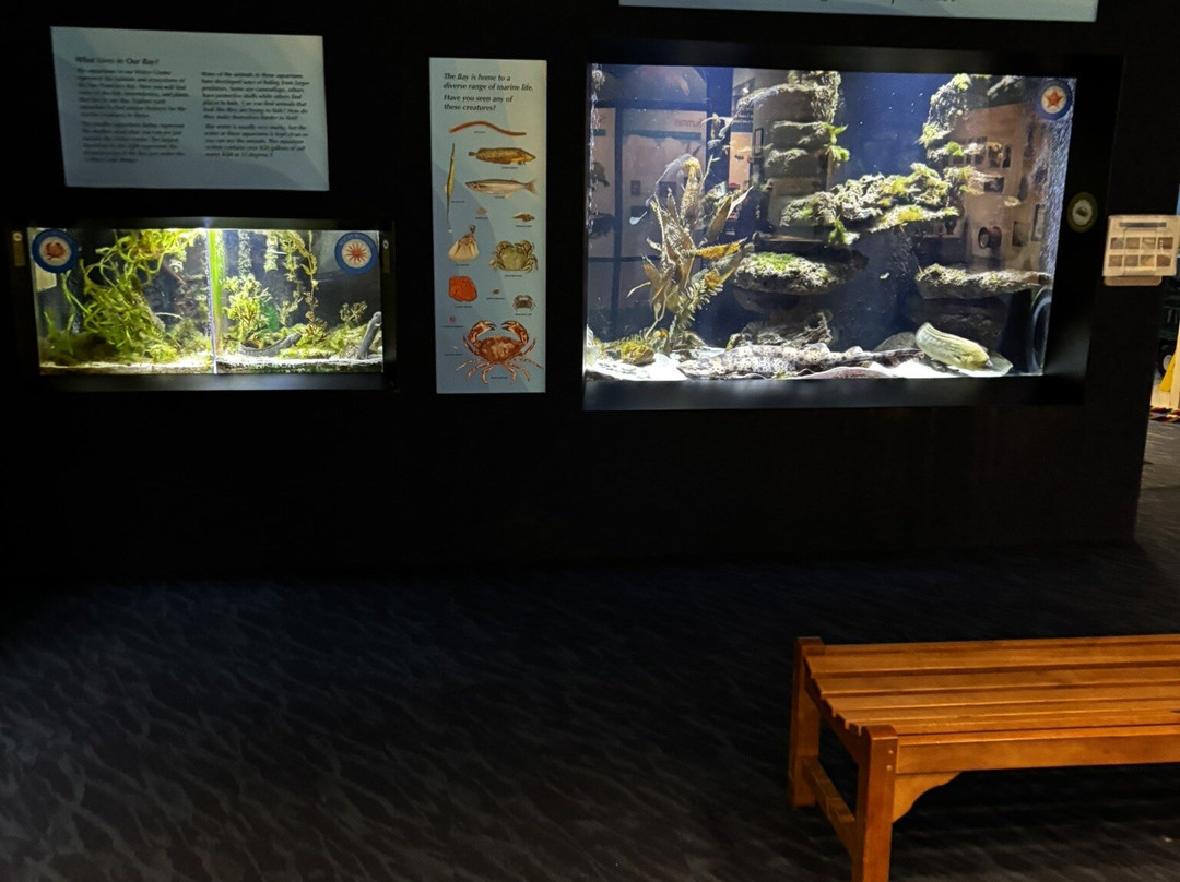 Crab Cove Visitor Center-阿拉米达必去景点