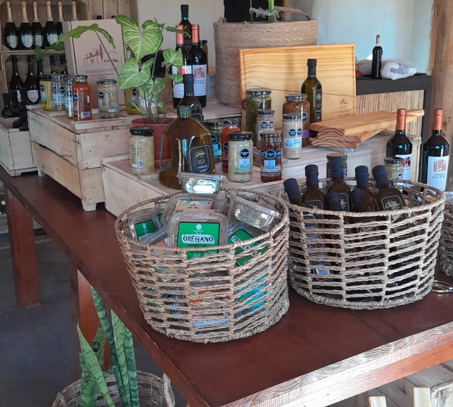 Bodega Artesanal Haras San José-Villa Union必去景点