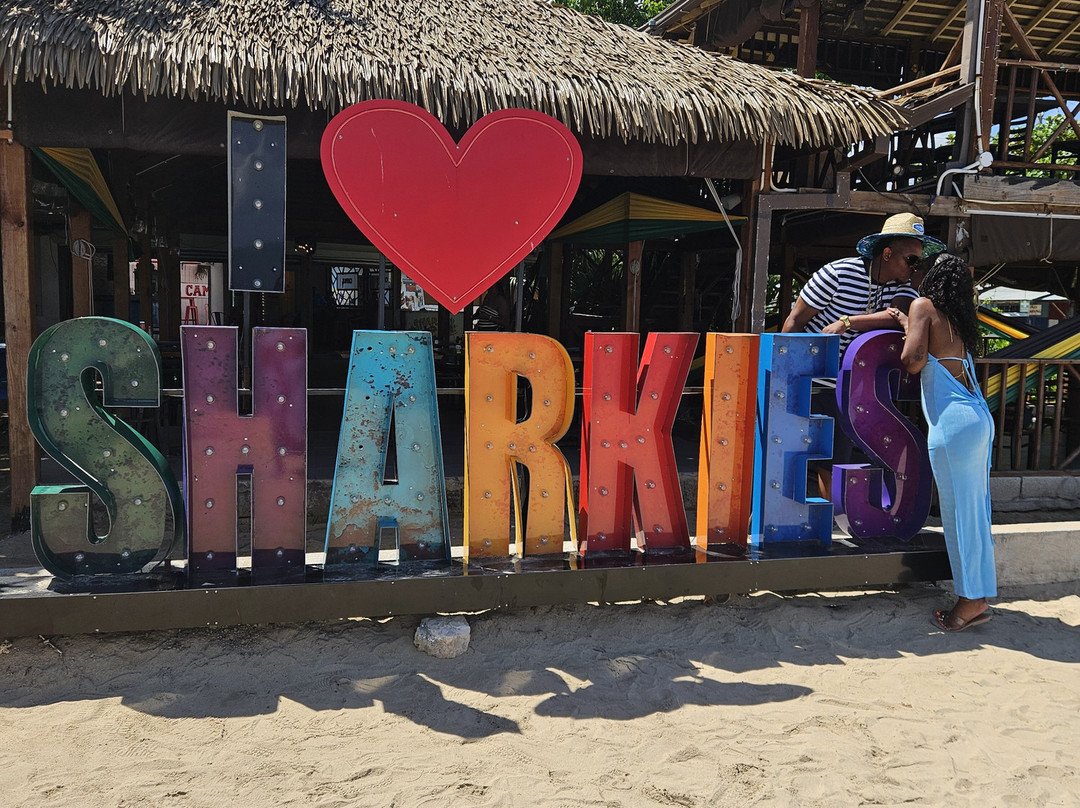 Mike's Tours & Transportation-蒙特戈贝必去景点