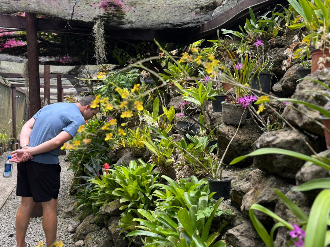 Rosie Holidays Fiji-纳迪市必去景点