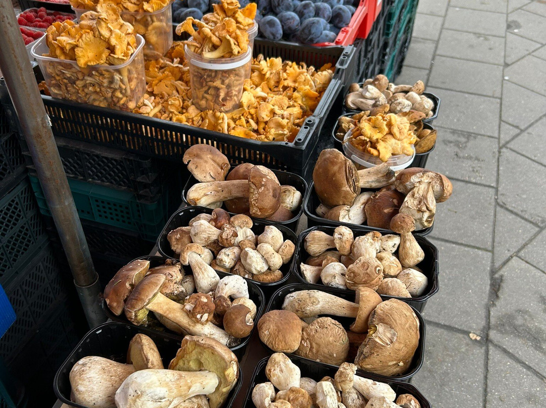 Halės Turgus-维尔纽斯必去景点