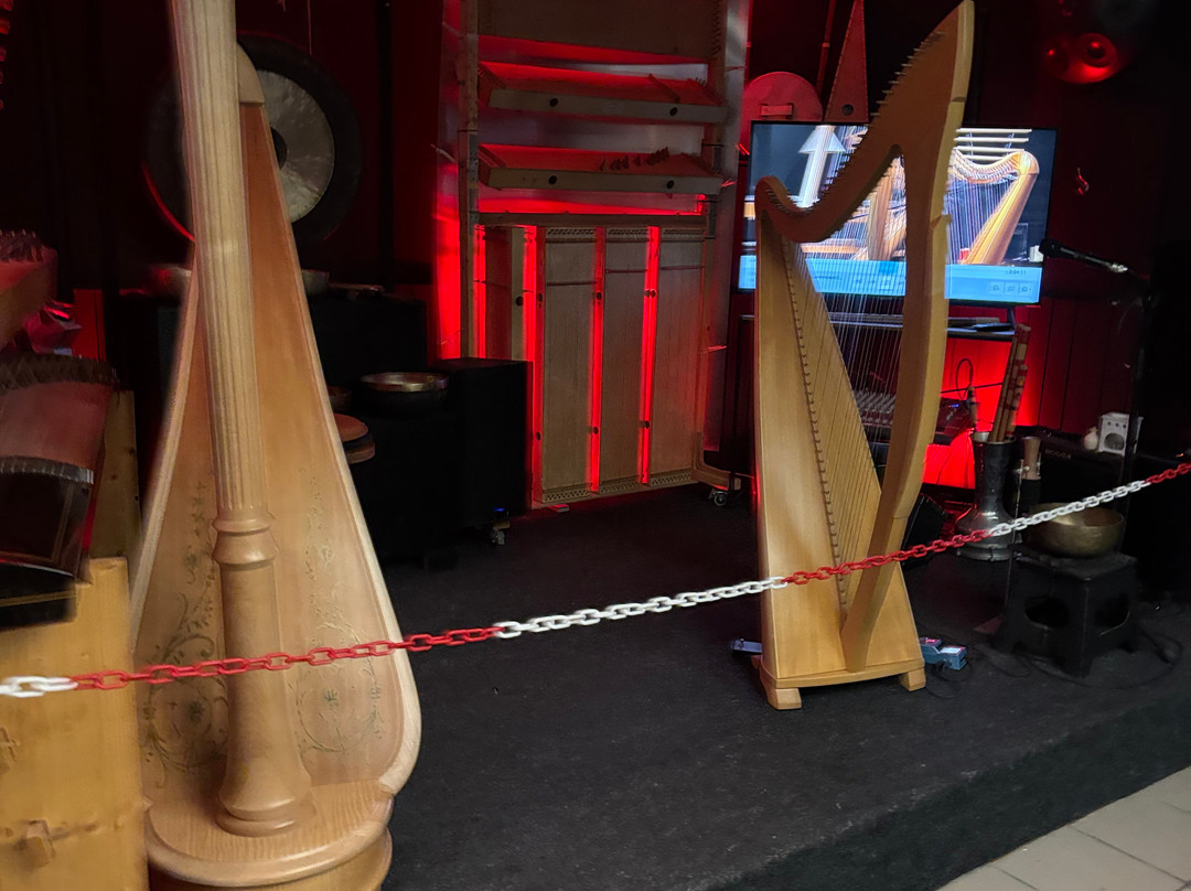 Luc Vanlaere Harpist - Harp Museum-布鲁日必去景点