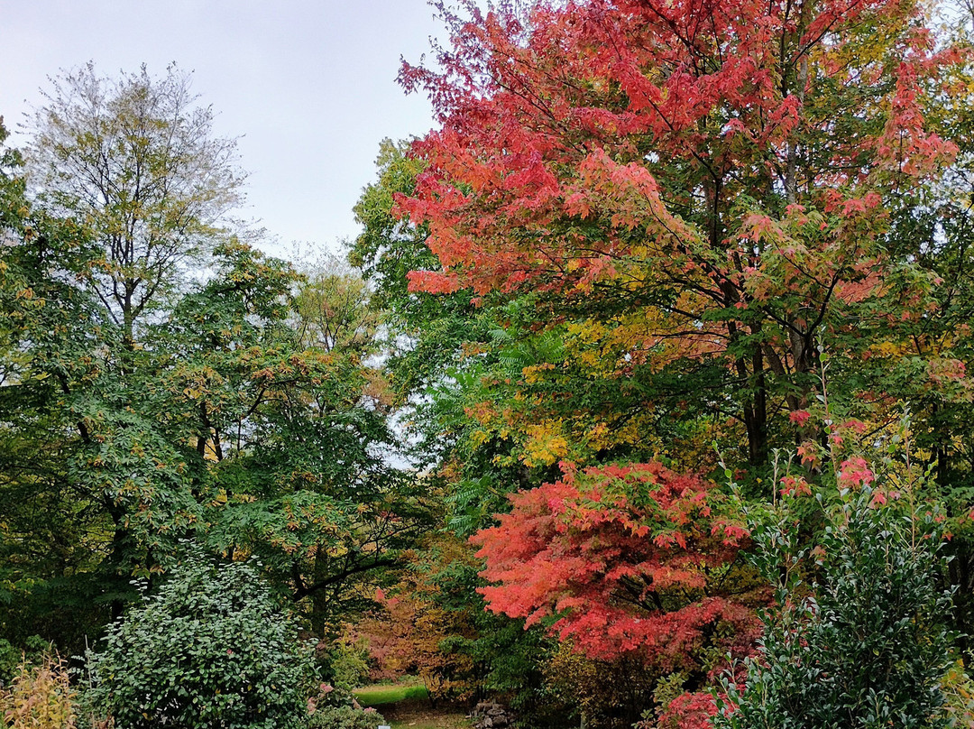 Green Island Gardens-Ardleigh必去景点