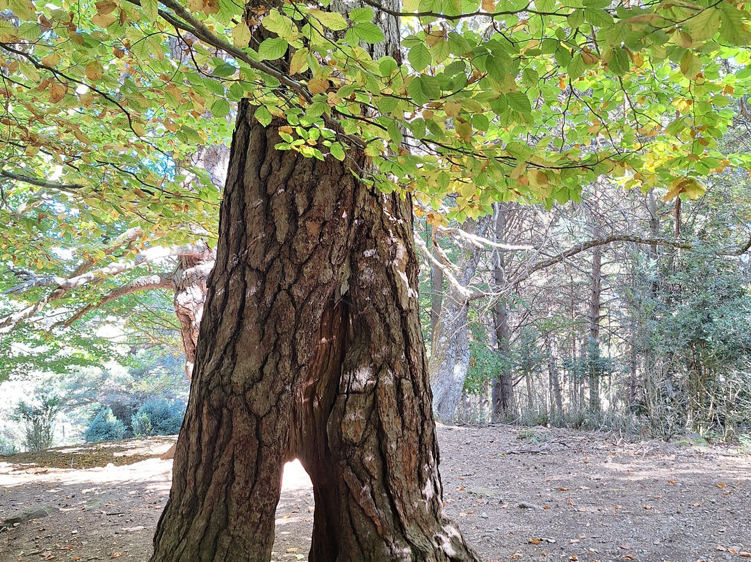 Parque Faunistico - La cuniacha-Biescas必去景点