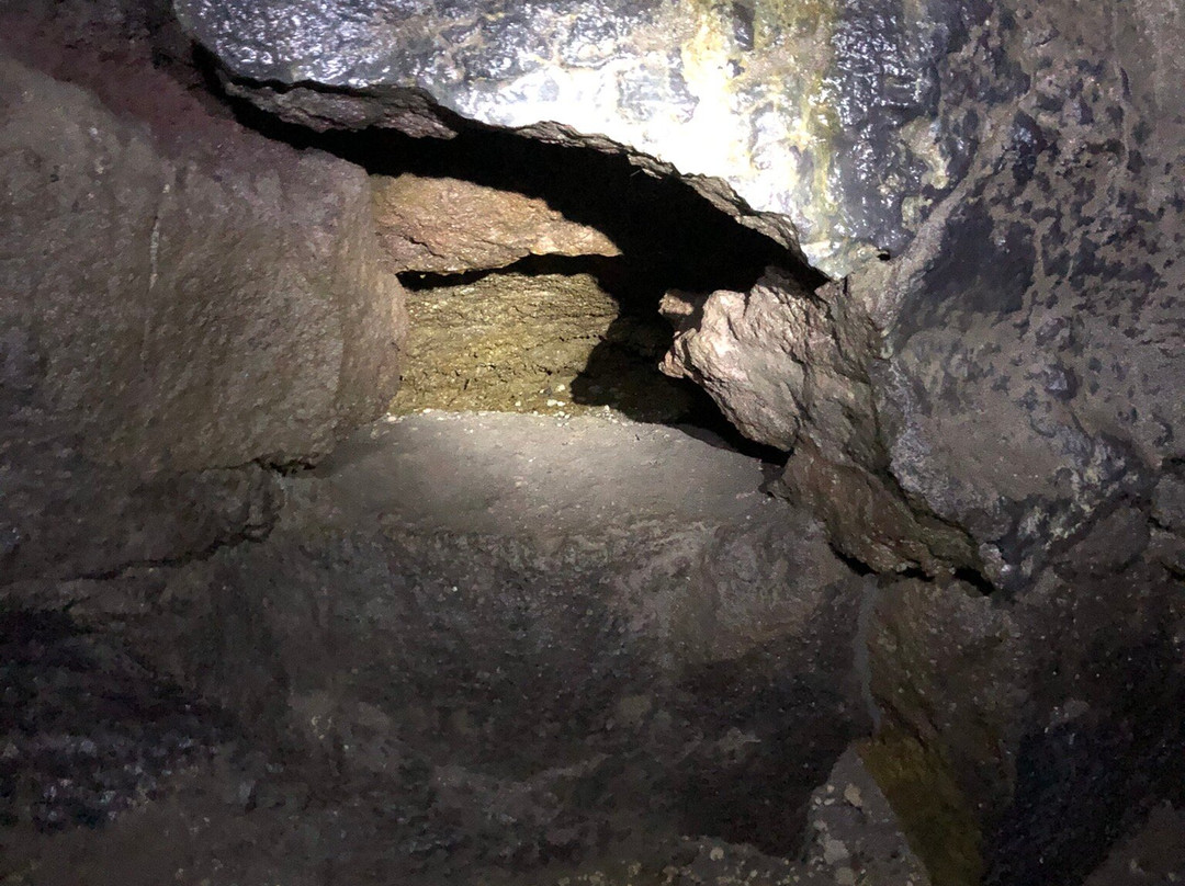 Ape Cave Lava Tubes-长景市必去景点