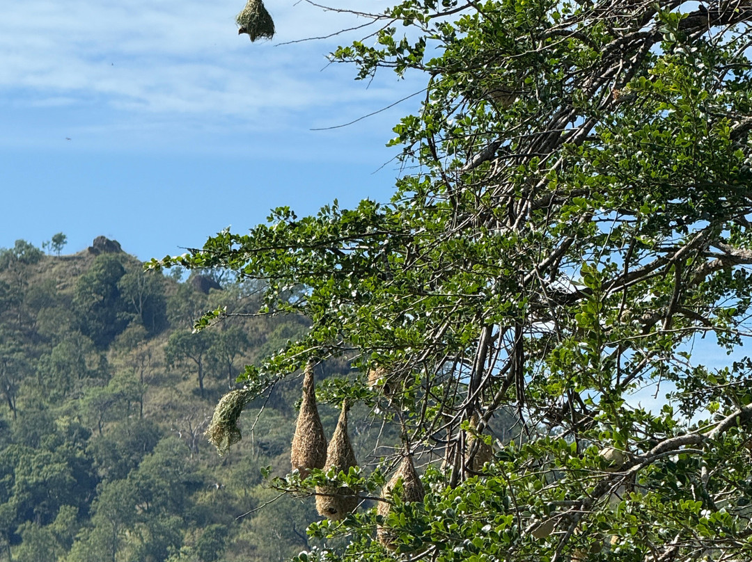 EllaXC MTB Sri Lanka-埃勒必去景点