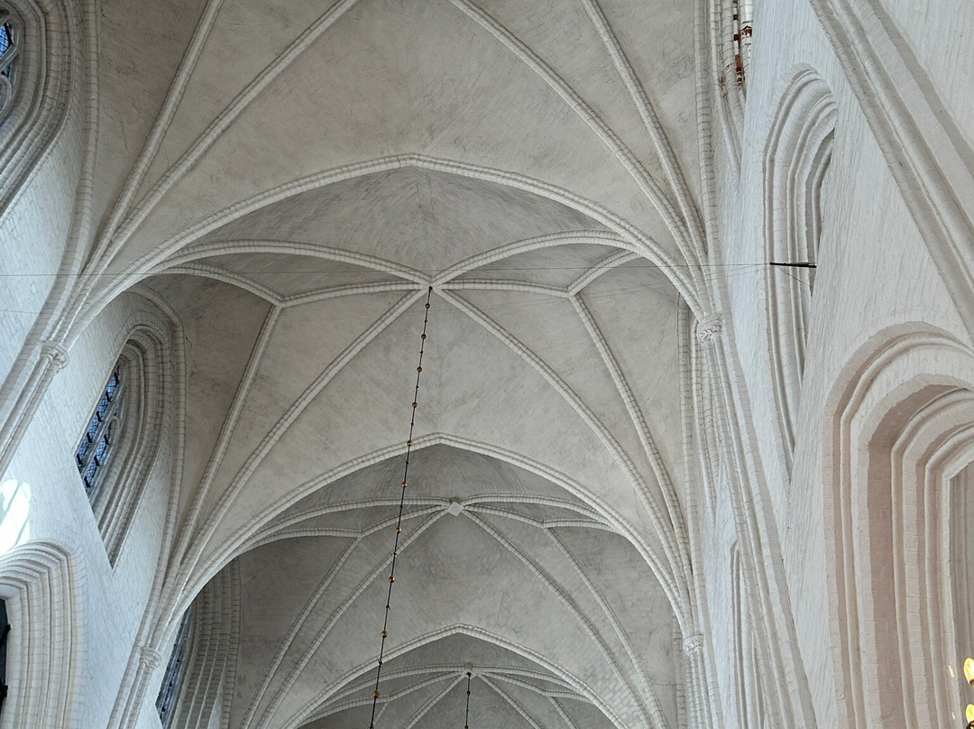 Odense Cathedral - Sct. Knuds Church-欧登塞必去景点