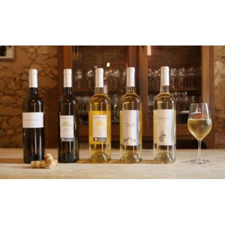 Château de Tigné Vins Gérard Depardieu-Tigne必去景点