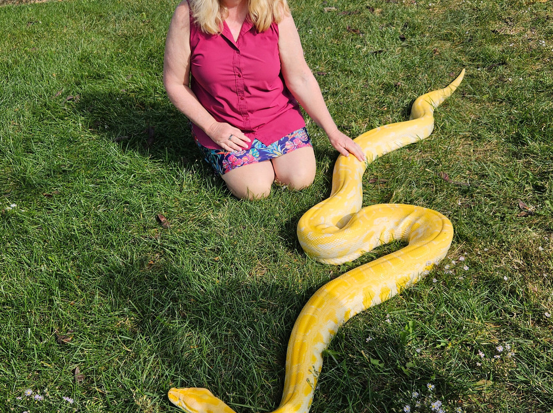 Tanganyika Wildlife Park-Goddard必去景点