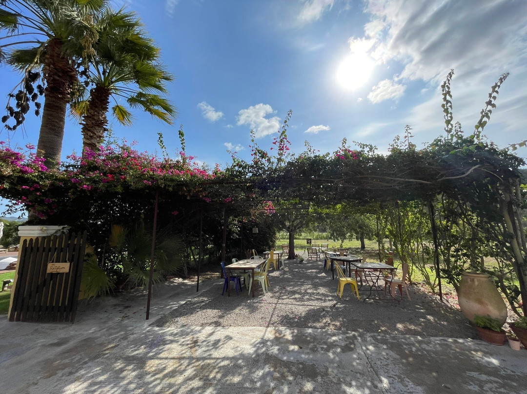 Las Mariposas Ibiza