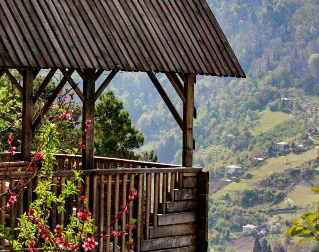 Hill Guesthouse - Wine Cellar, Fish Farm & Organic Cuisine
