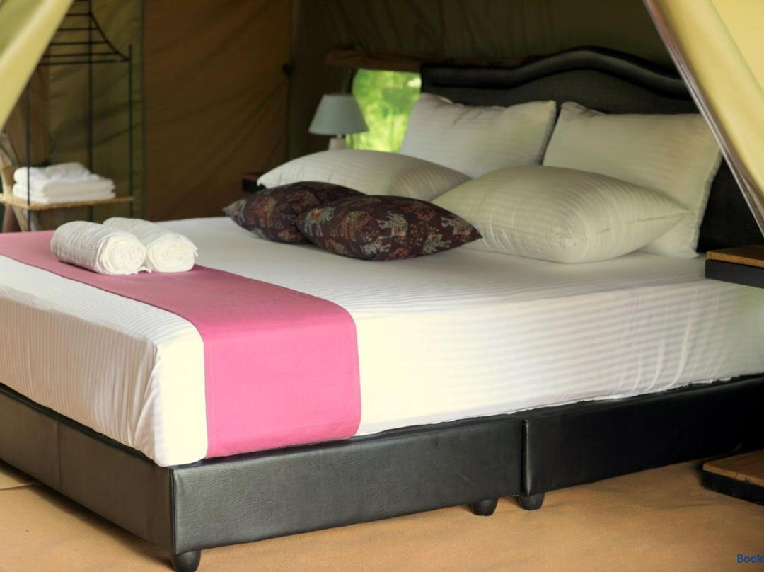 Basecamp - Yala