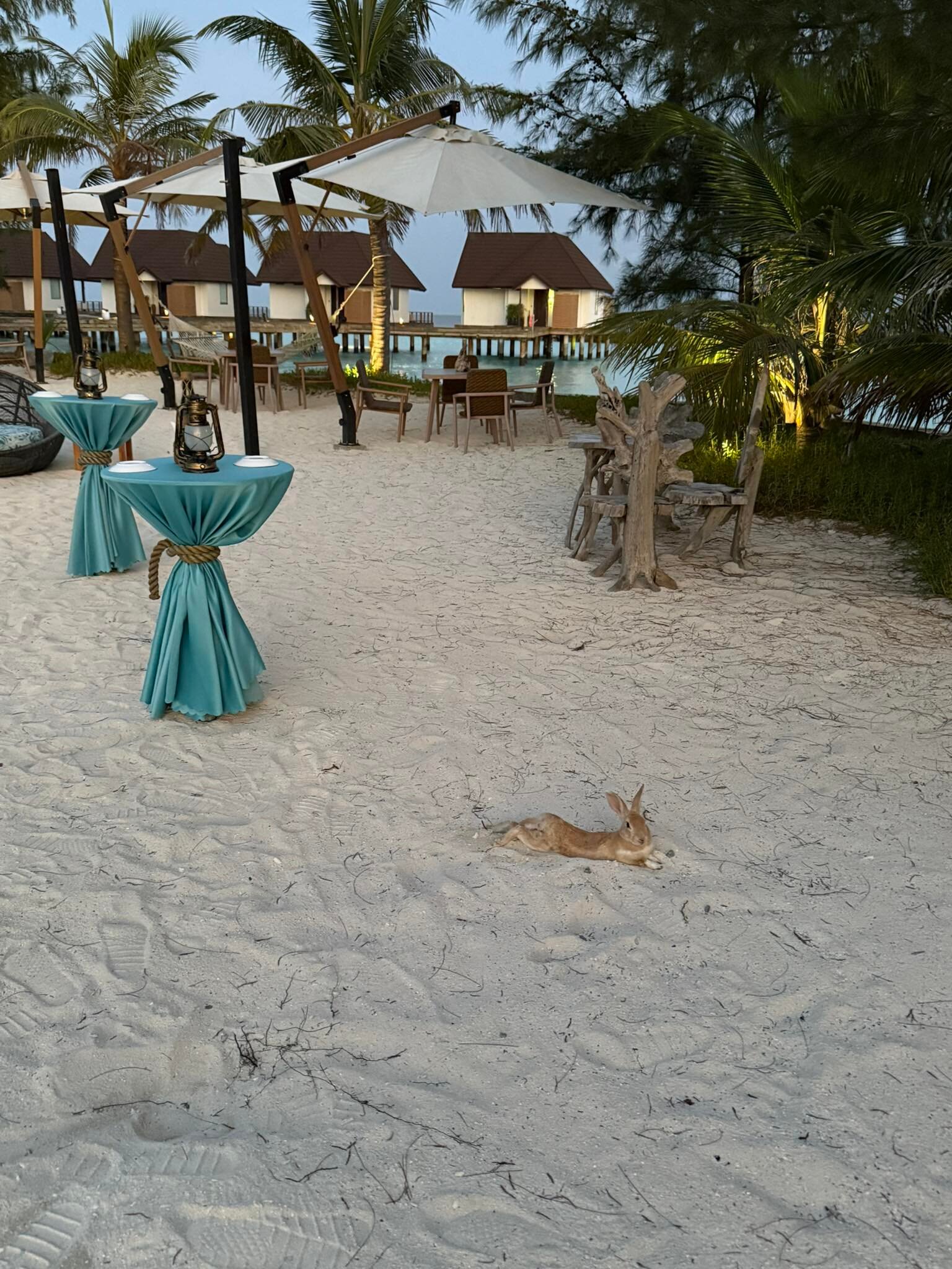 Fushifaru Maldives-浴室