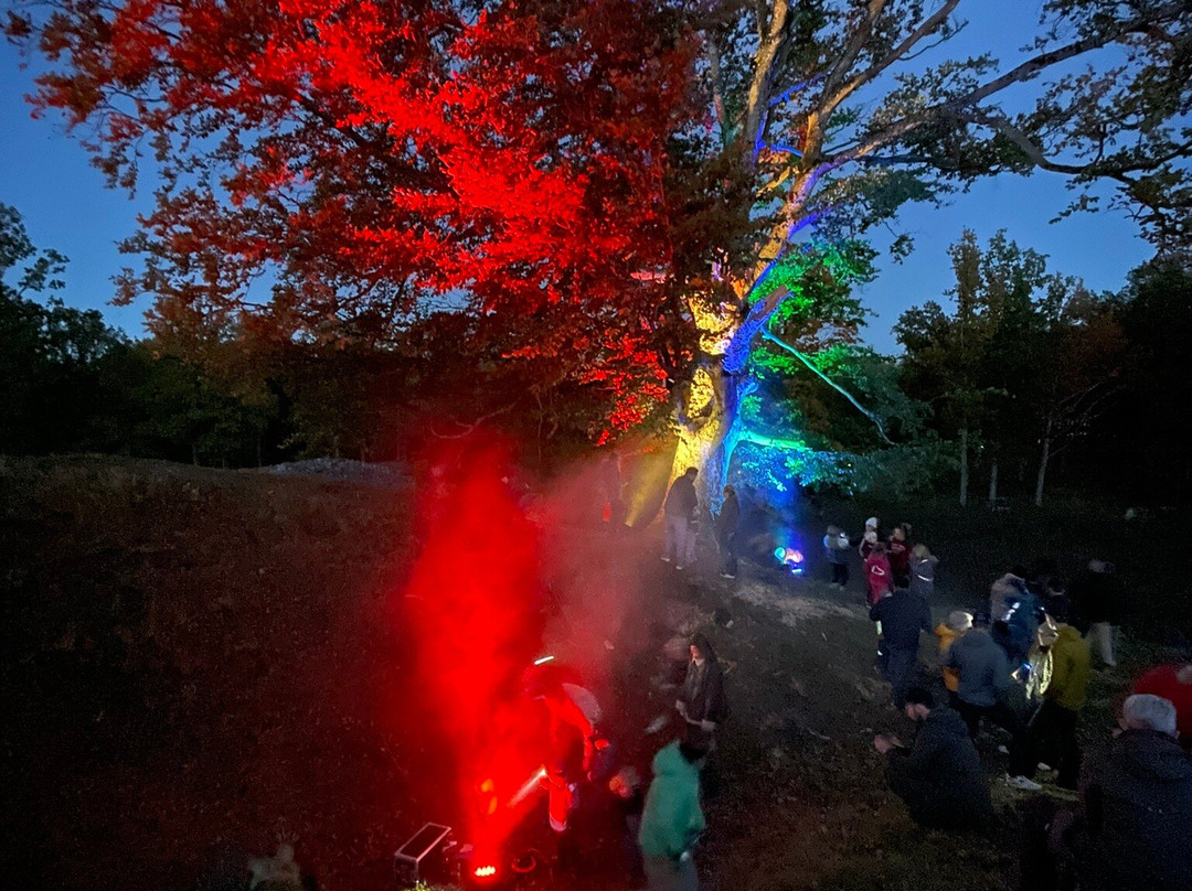 Borrehaugene-Horten必去景点