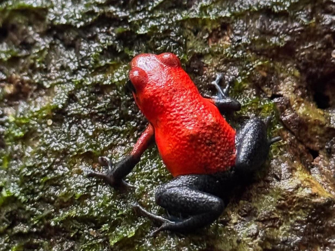 Guanacaste Airport Shuttle Costa Rica-利比里亚必去景点