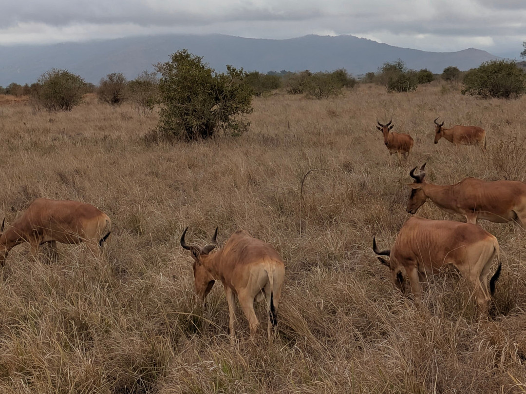 Ombre Tours & Safaris-瓦塔木必去景点