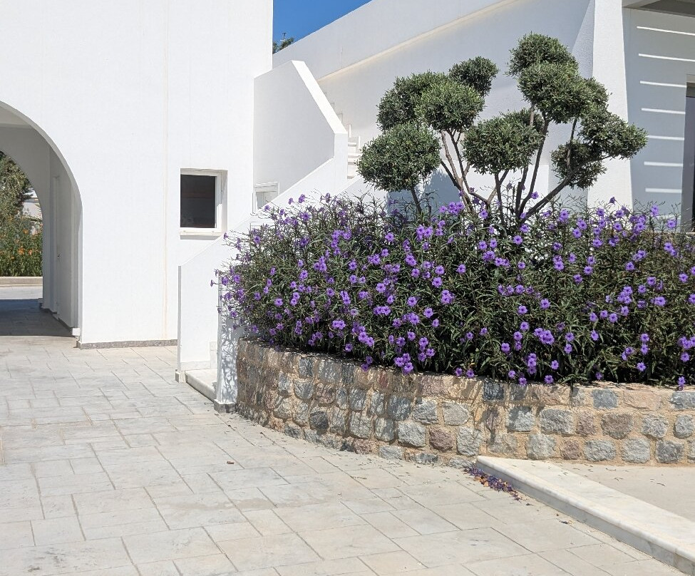 Palladium Hotel主图