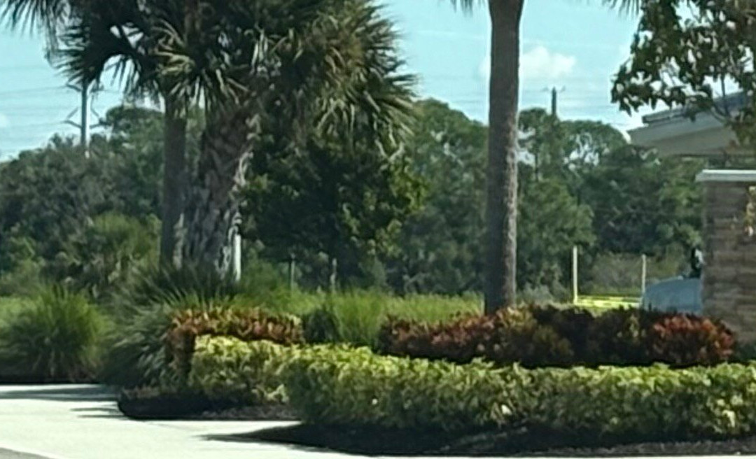 Sarasota National Cemetery-萨拉索塔必去景点