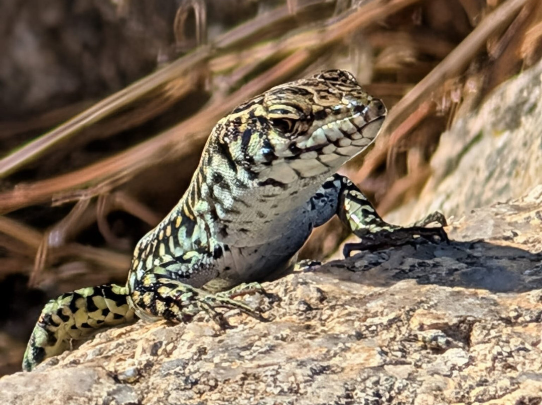Sardintrek-撒丁岛必去景点