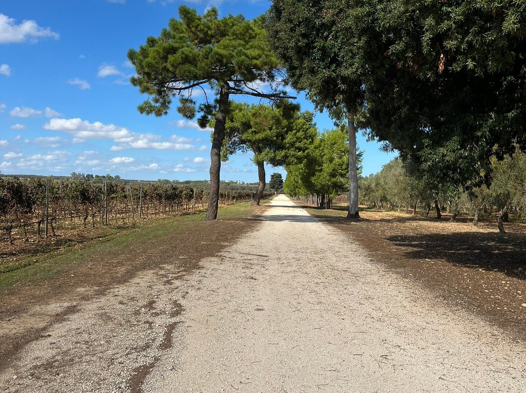 Masseria Altemura-Torre Santa Susanna必去景点