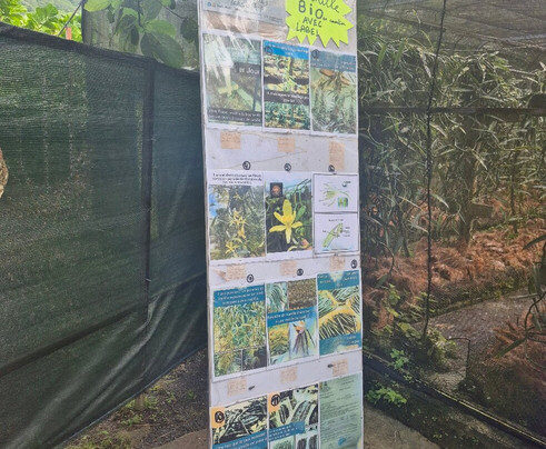 Vanilla Prod's Shop-塔哈岛必去景点