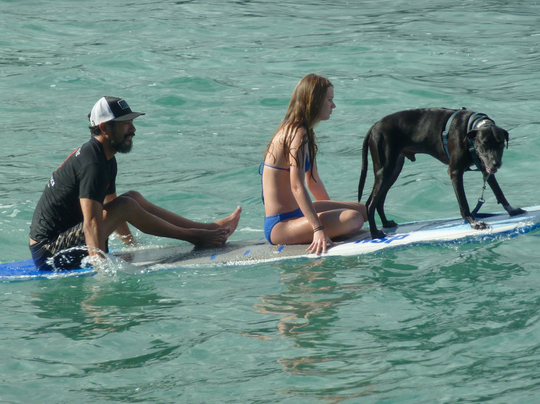 N.S.O.G. North Shore Ocean Guides-卡胡库必去景点