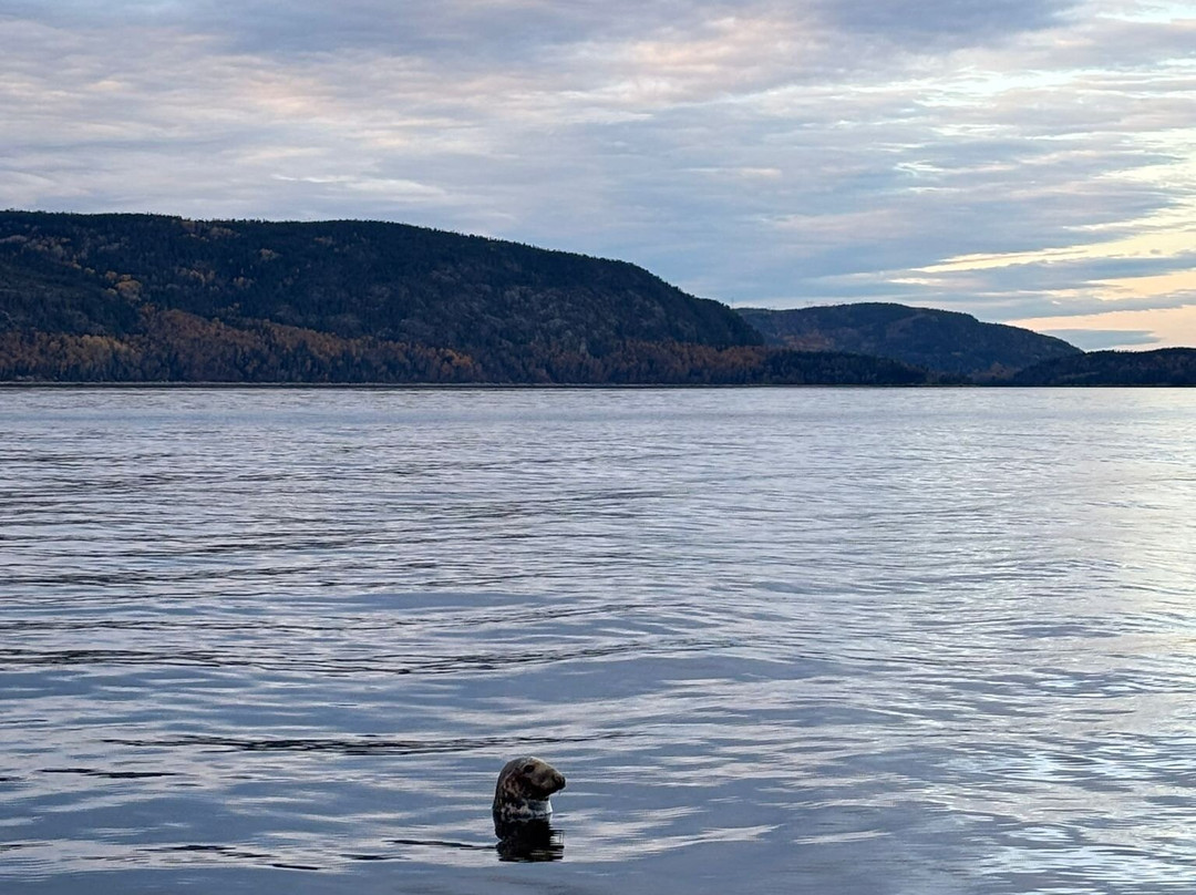 Tadoussac Autrement-泰道沙克必去景点