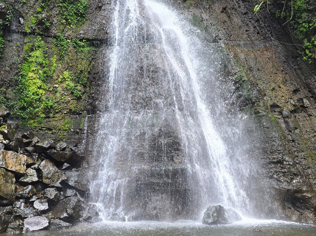 Mangalia Waterfalls-阿鲁沙必去景点