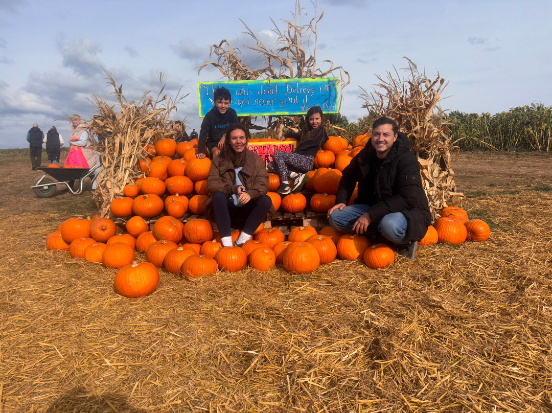 The Green Barn Farm Shop & Cafe
