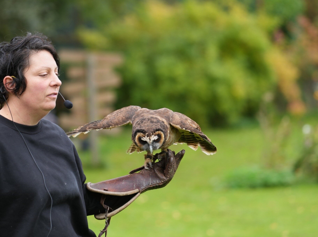 Le Jardin des Hiboux-Bievre必去景点