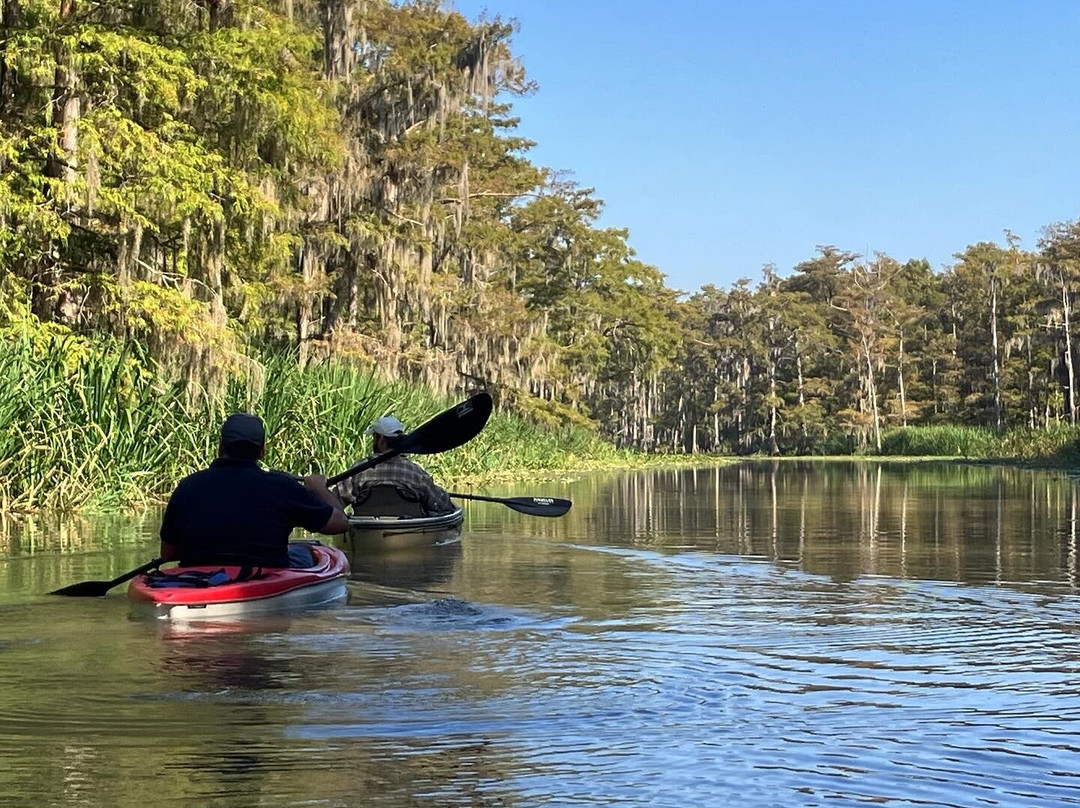 The Last Wilderness Swamp Tour-Plaquemine必去景点