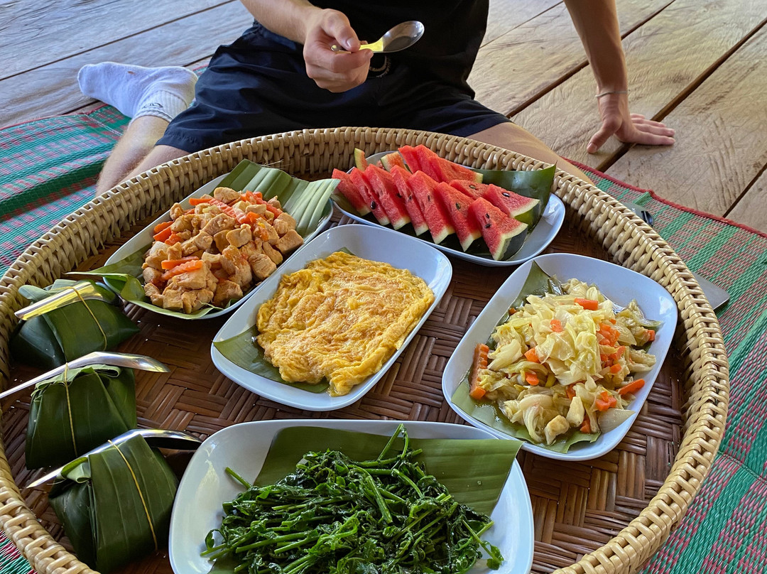 Elephant Peace Project-清莱必去景点