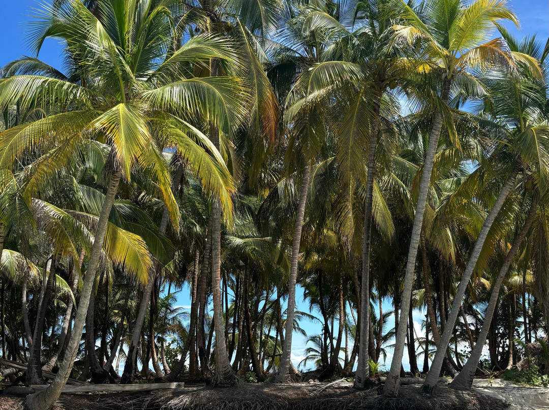 La Gitanita Sailing-Carti Tupile必去景点