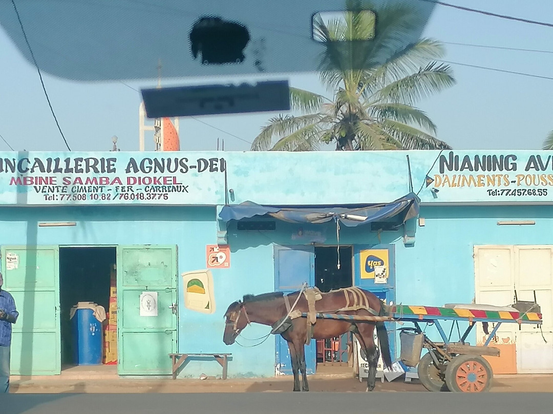Voyage Sénégal Guide-Nianing必去景点