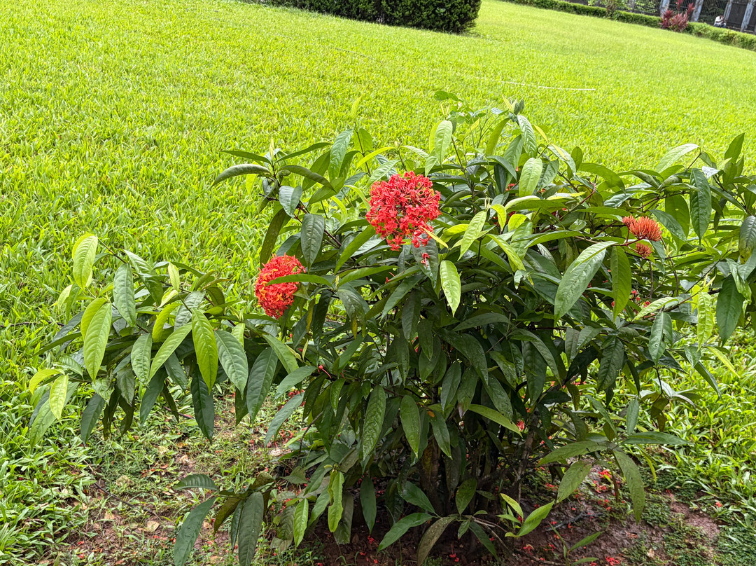 Tambadi Surla Mahadev Temple-Sanguem必去景点