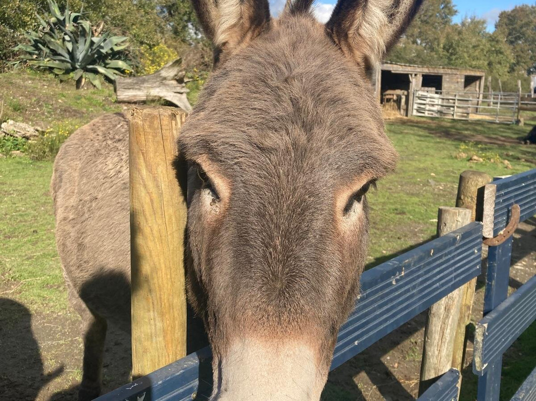 La Ferme Extraordinaire-Donges必去景点