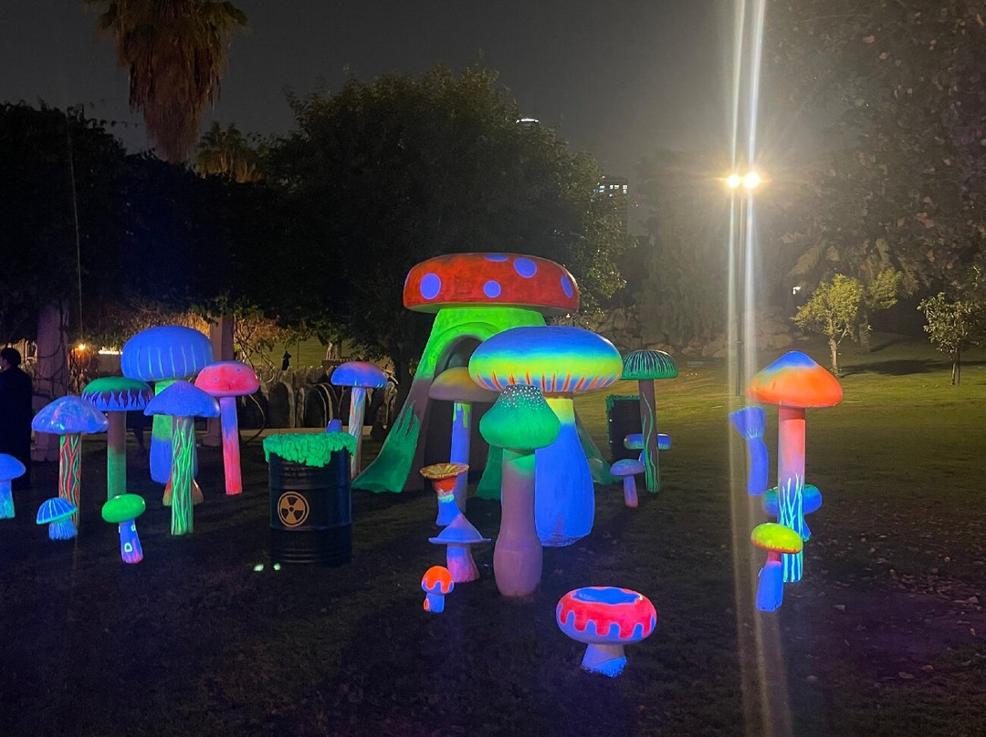 Al Montazah Parks-沙迦必去景点