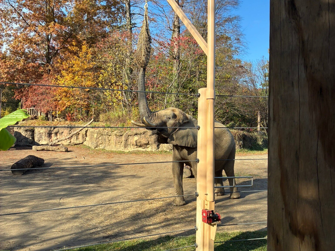克利夫兰动物园-克利夫兰必去景点