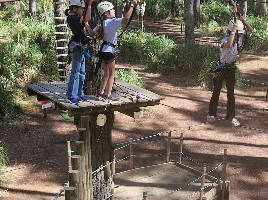 Tree Adventures-伍德山必去景点