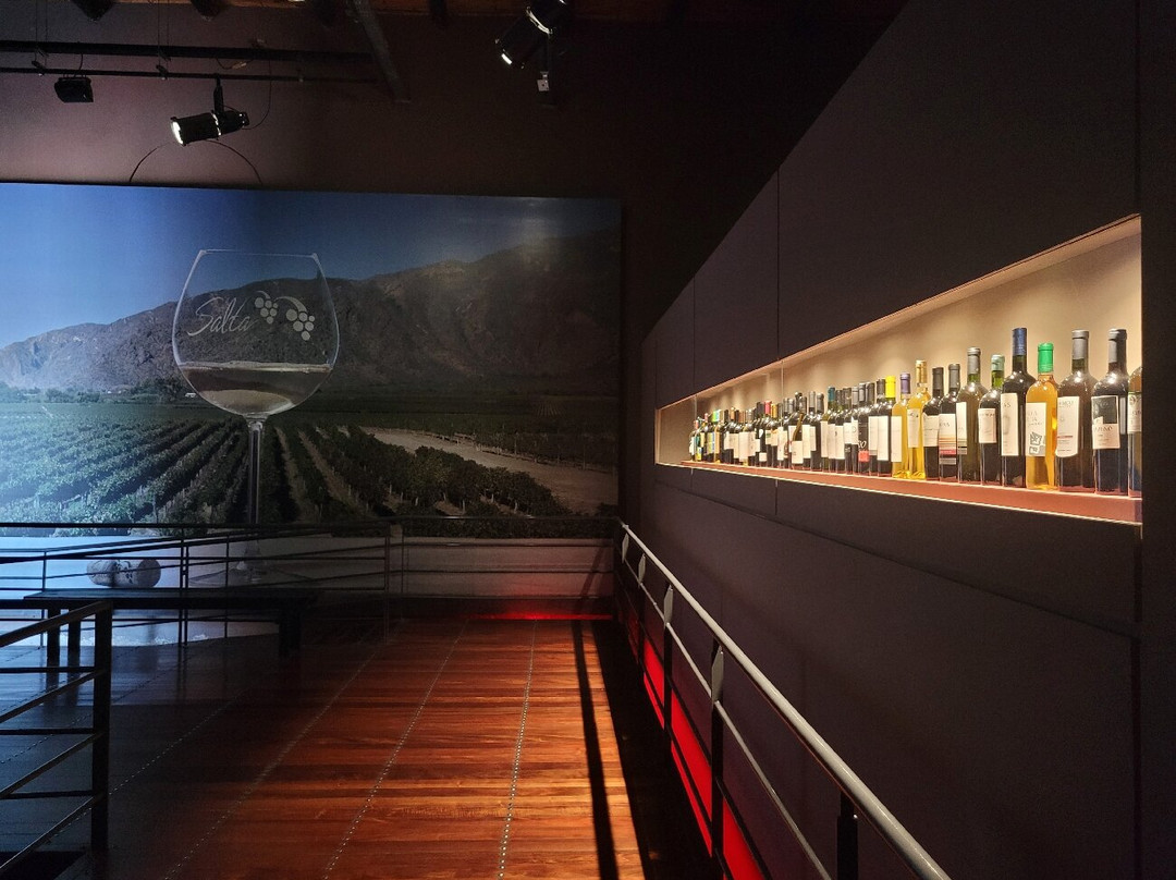 Museo de la Vid y el Vino-卡法亚特必去景点
