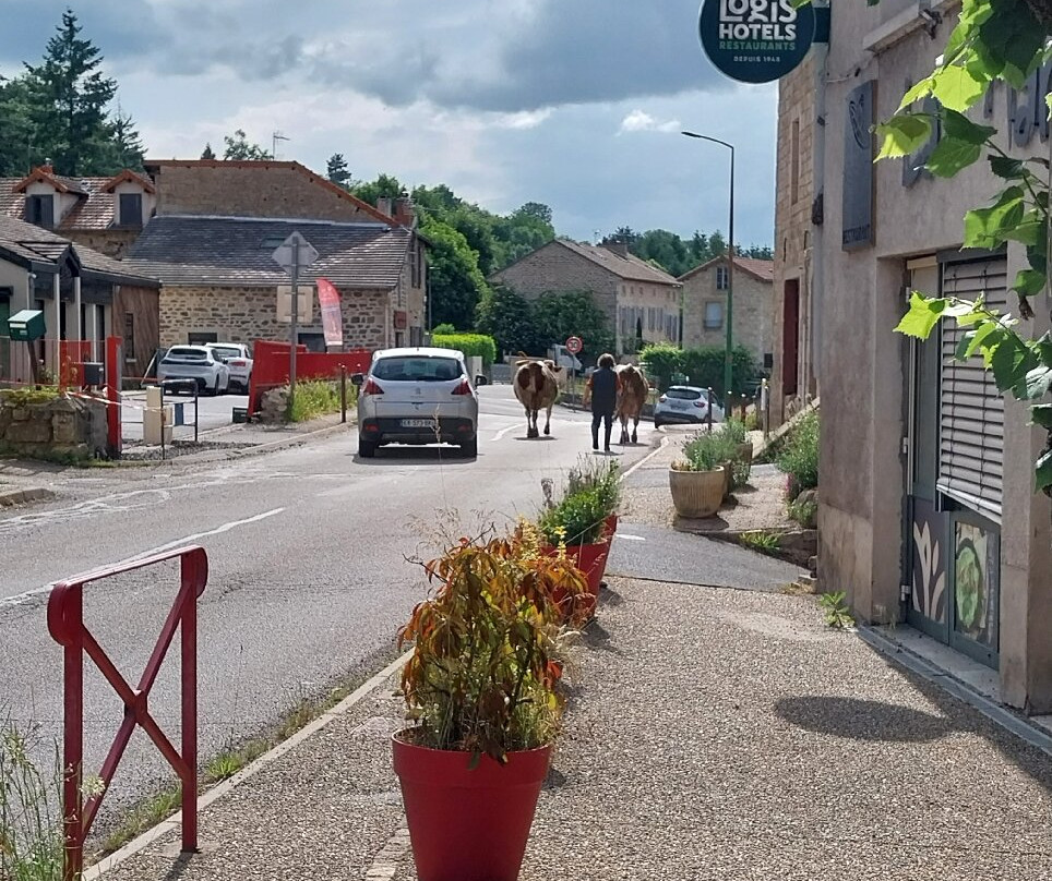 Logis Hôtel le Barriol主图