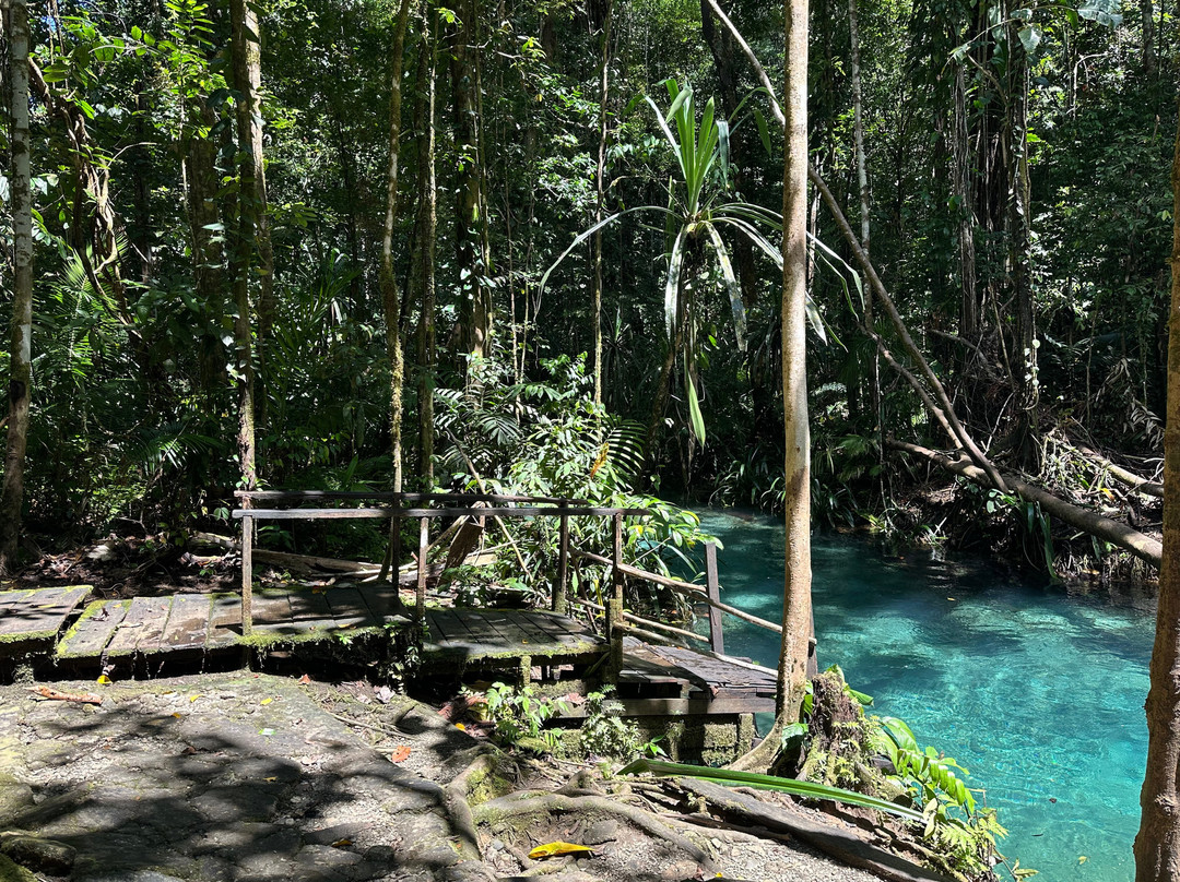 Dive Into Raja Ampat At Waiwo Resort