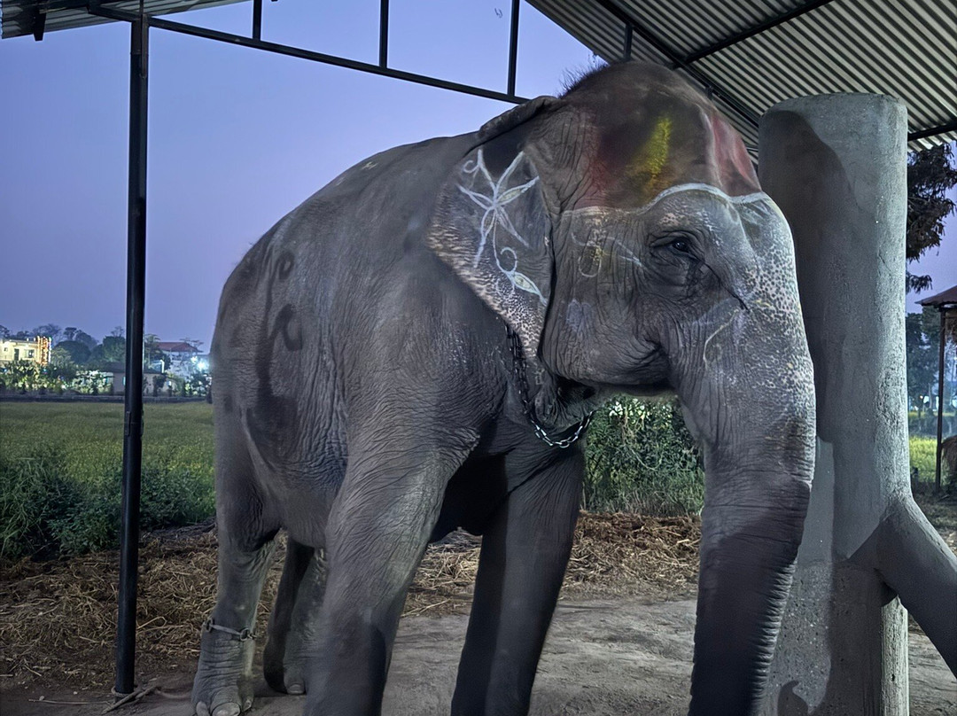 Wild Nabin Tour-奇旺国家公国必去景点