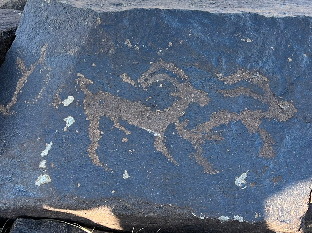Mongolia Quest-乌兰巴托必去景点