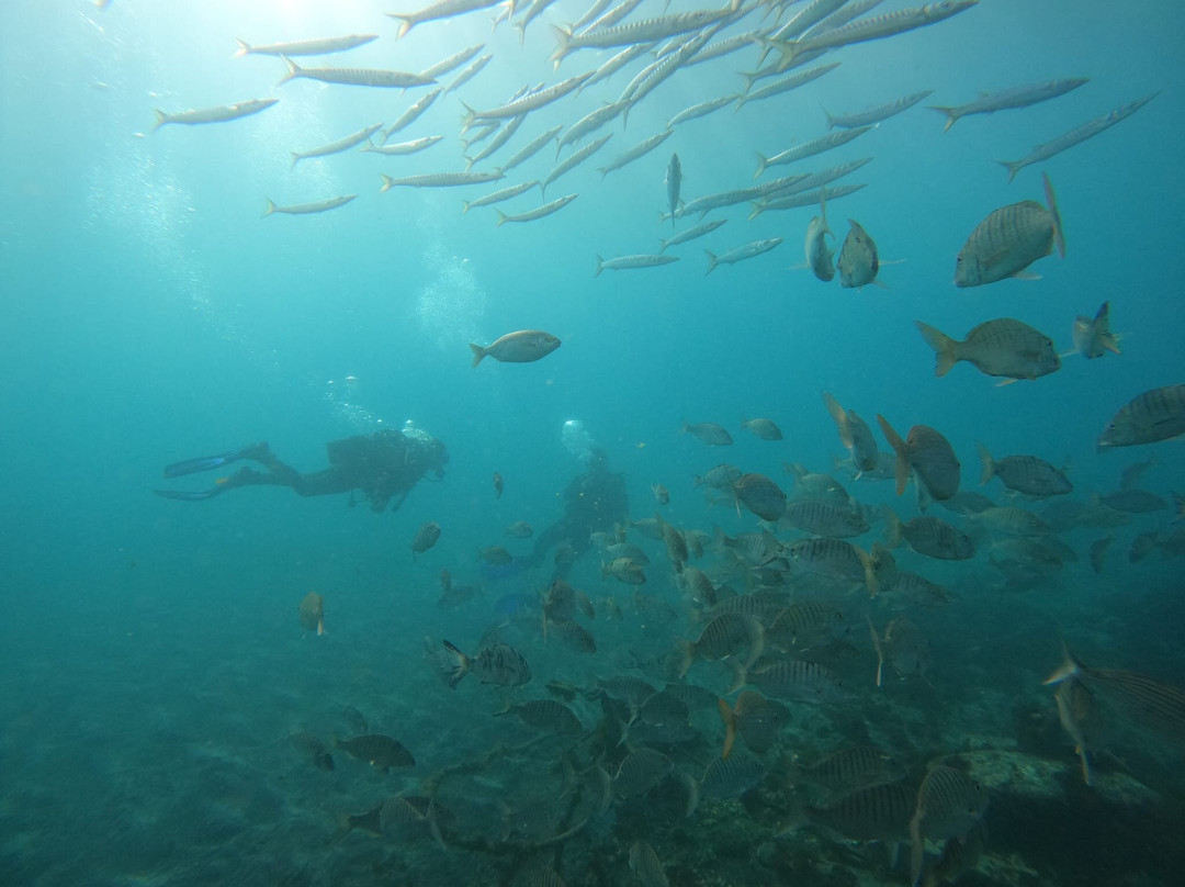 Diversion-阿尔卡拉必去景点