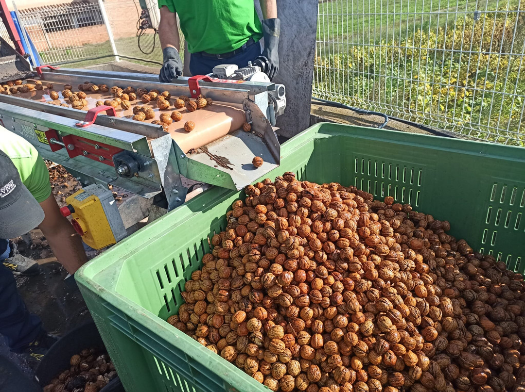 Cooperativa De Viver-Viver必去景点