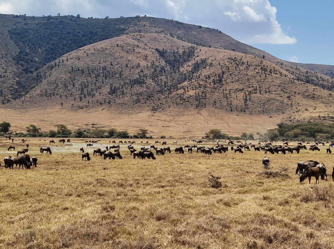 Hello Tanzania-Dar es Salaam必去景点