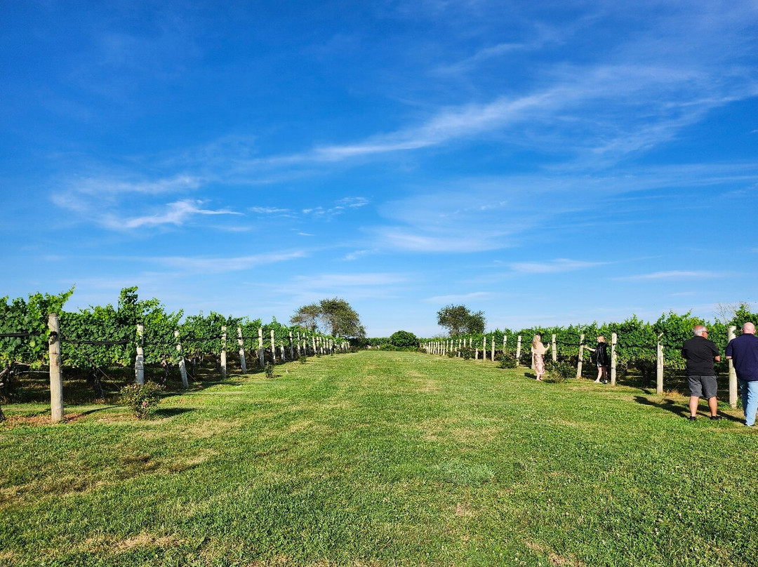 Jonathan Edwards Winery-北斯托宁顿必去景点